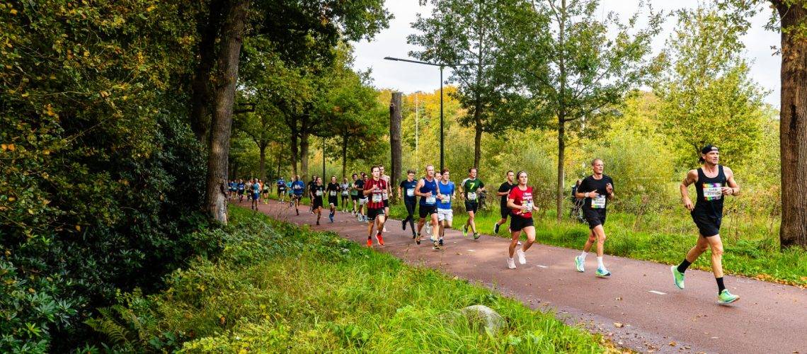 LDDK-20241013-0131 (Groot)