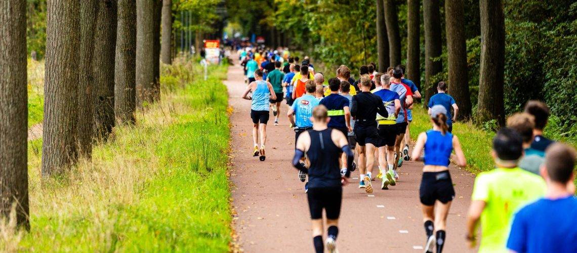 LDDK-20241013-0133 (Groot)