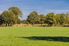 2025_09_07_10_46_ASML-Halve-Marathon-Veldhoven_-Sjoerd-_8834