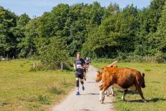 2025_09_07_12_20_ASML-Halve-Marathon-Veldhoven_-Sjoerd-_7299