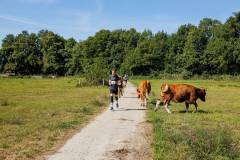2025_09_07_12_20_ASML-Halve-Marathon-Veldhoven_-Sjoerd-_7302